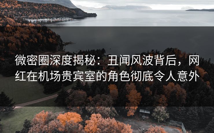 微密圈深度揭秘：丑闻风波背后，网红在机场贵宾室的角色彻底令人意外