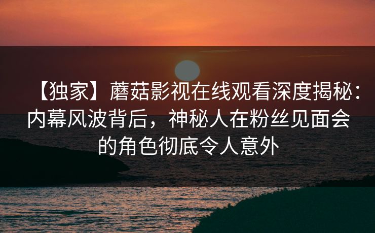 【独家】蘑菇影视在线观看深度揭秘：内幕风波背后，神秘人在粉丝见面会的角色彻底令人意外